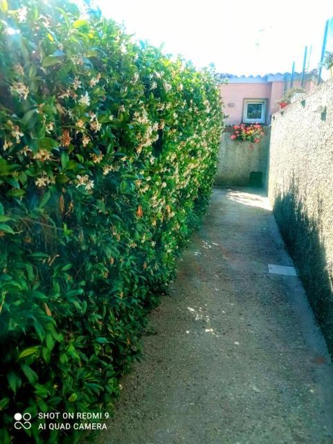 La Casa Di Carletta Apartment Civitavecchia